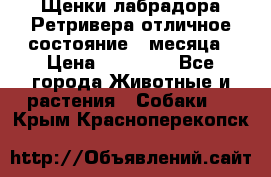 Щенки лабрадора Ретривера отличное состояние 2 месяца › Цена ­ 30 000 - Все города Животные и растения » Собаки   . Крым,Красноперекопск